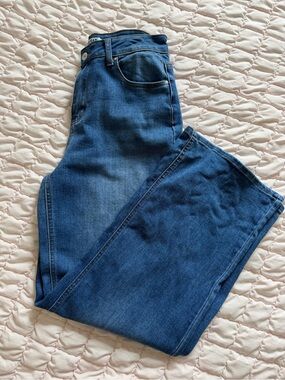 Women Classic High-Rise Blue Jeans Size 11